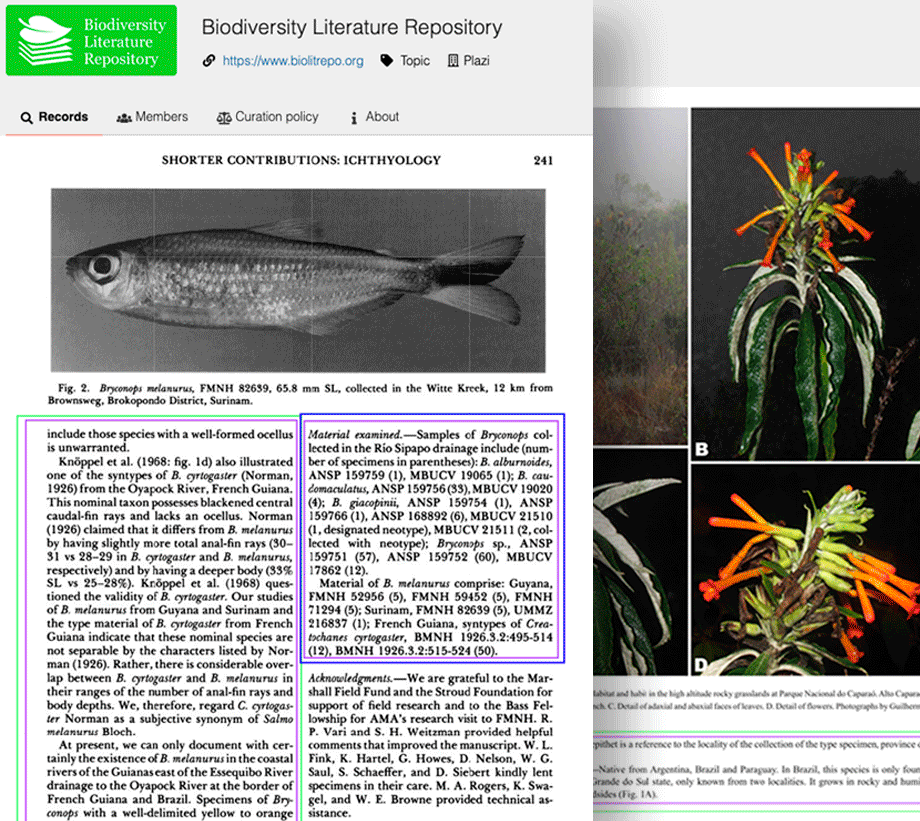 Annostor page example